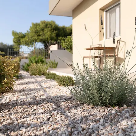 Starfish Complex Apartment Porto Rafti Exterior photo